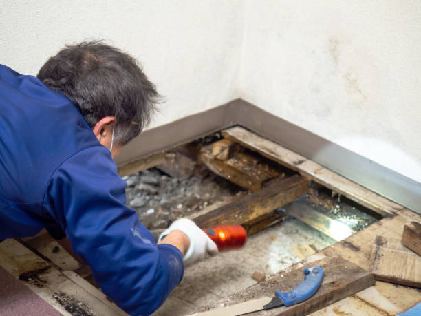 Best Water Damage Restoration  in Vancouver, WA