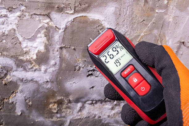 Best Best Mold Removal Companies  in Vancouver, WA