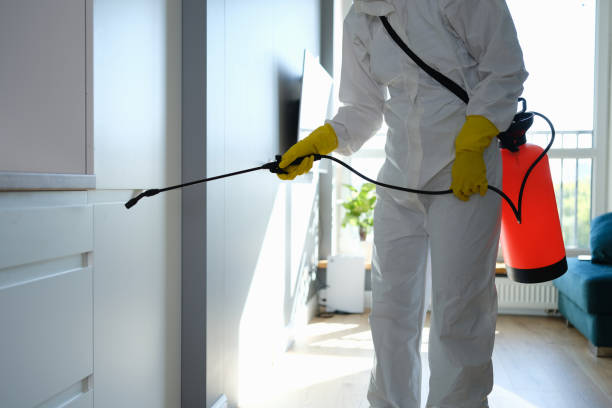 Trusted Vancouver, WA Mold Removal Experts