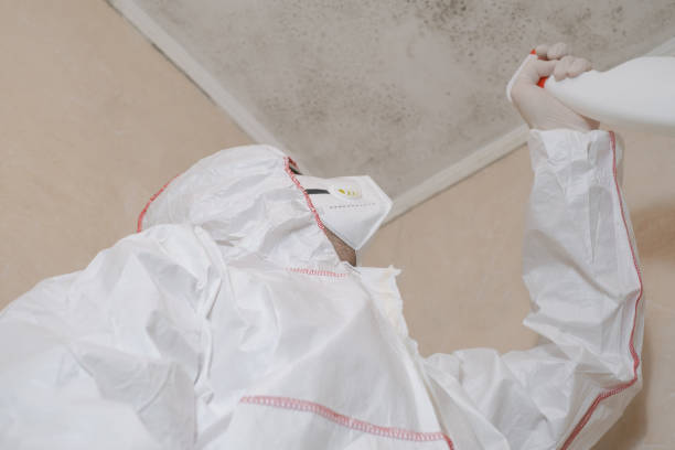 Best Residential Mold Removal  in Vancouver, WA