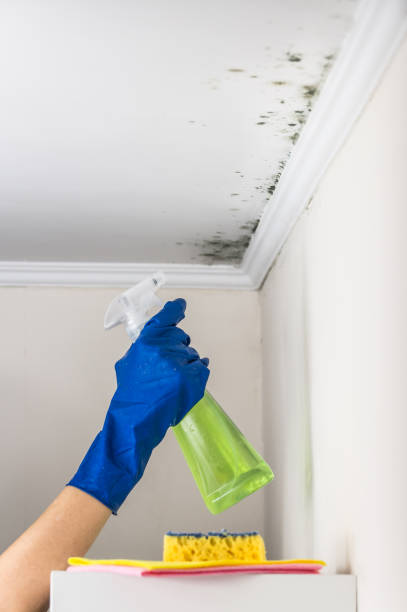 Best Office Mold Removal Services  in Vancouver, WA